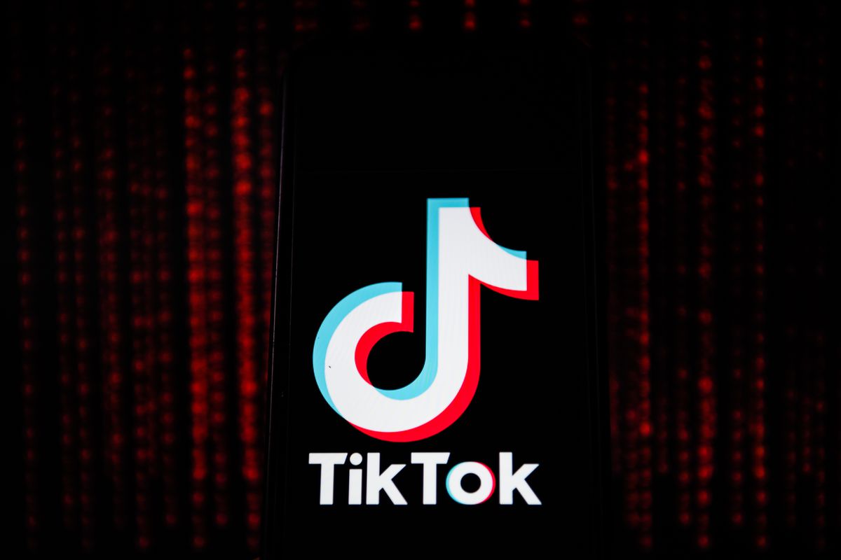 كيفية تنزيل البيانات وسجل النشاط في TikTok