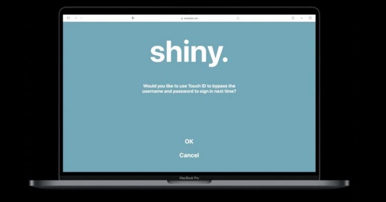 سفاري سيتيح تسجيل الدخول للمواقع عبر بصمة الأصبع أو الوجه