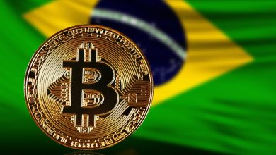 البرازيل تقر تداول العملات الرقمية من خلال قانون التشفير