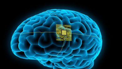 علماء يخططون لتصنيع أجهزة كمبيوتر عملاقة بخلايا دماغية بشرية