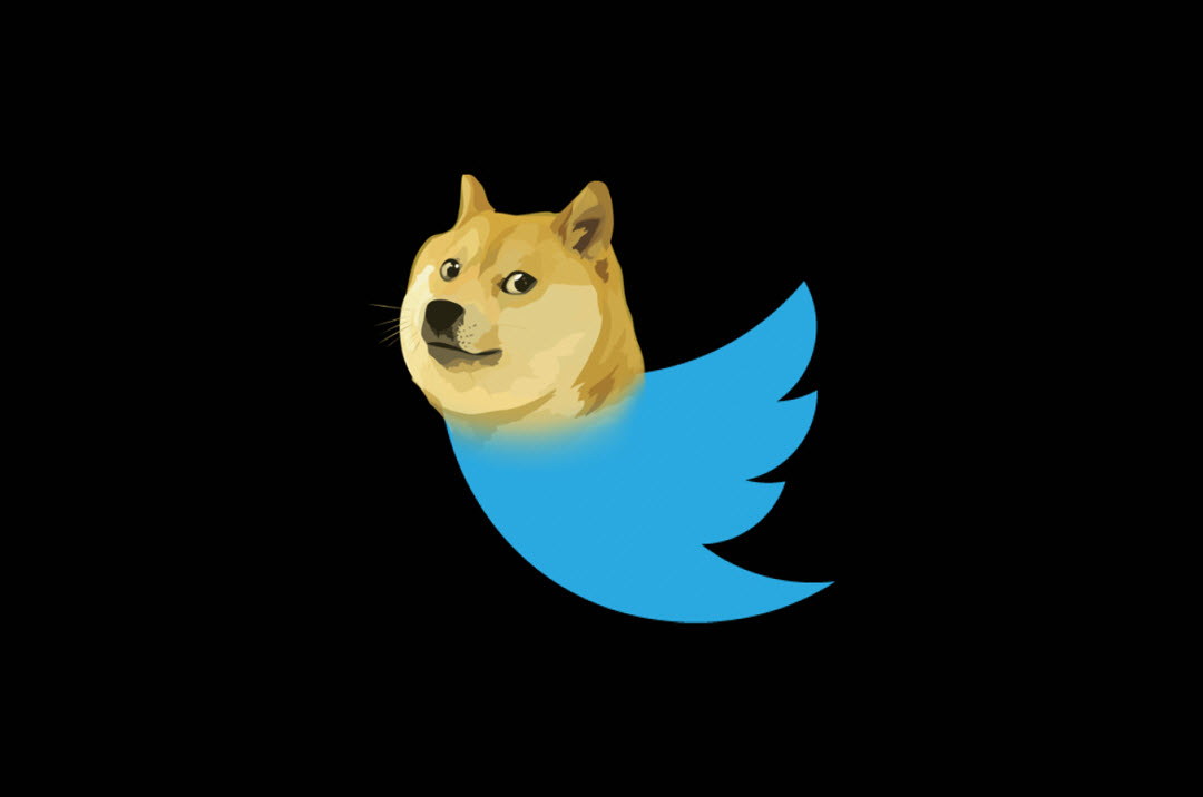 لماذا استبدلت تويتر شعار الطائر الأزرق الشهير بعملة دوج كوين الرقمية؟