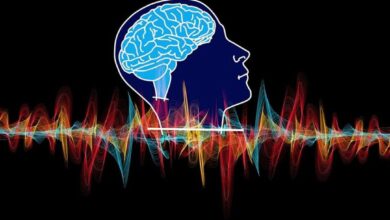 باستخدام الذكاء الاصطناعي .. إعادة بناء أغنية بالإشارات العصبية للمخ