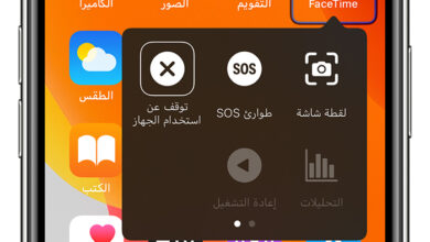 ميزة التحكم عن بُعد عبر FaceTime في iOS 18